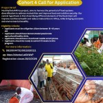 Call for Applications: HealthyDiets4Africa (HD4A) – Cohort 4